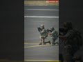 Indian Air Force Indian Commandos Air Force Status Video Special Force 2021