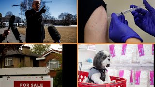 Bloomberg Money Minute: Trump Delays Iran Strikes; Pfizer Lyme Vaccine Efficacy