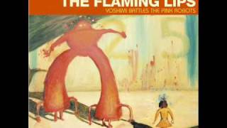 the flaming lips fight test