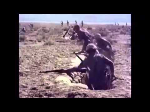 Rage Against the Machine - Calm Like a Bomb music video