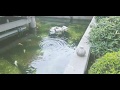 channel