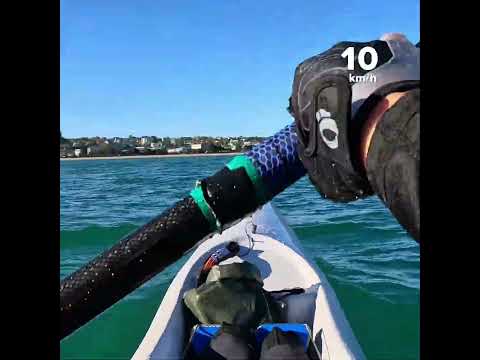 Little runners #surfski #kayaking #paddler #newzealand