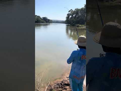 Pescaria top no Rio Paraopeba #minasgerais #pescaria
