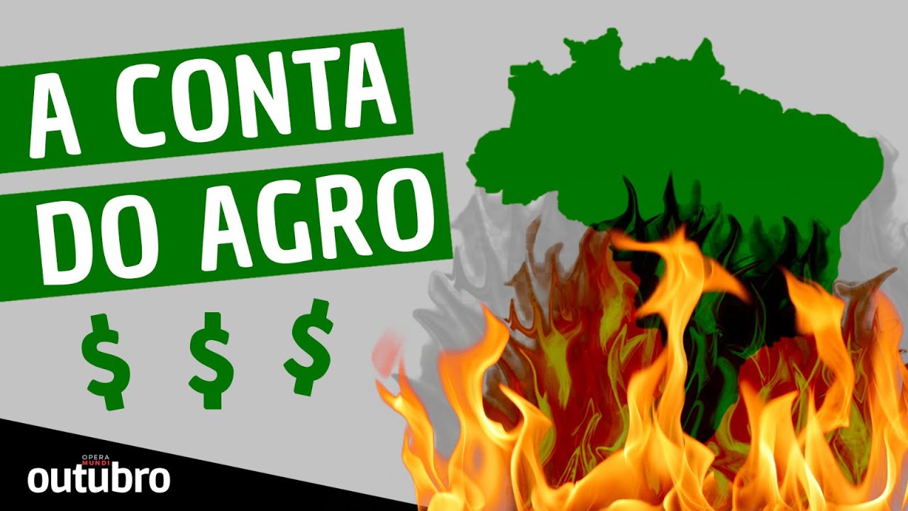 QUEIMADAS, POLUIÇÃO E ECONOMIA: IMPACTOS DA CRISE CLIMÁTICA - PROGRAMA OUTUBRO