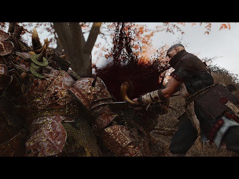 Vermintide 2 — Invincible Zealot
