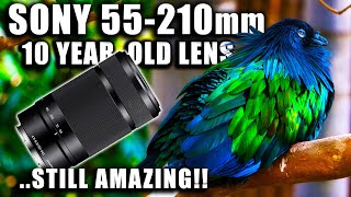 Video thumbnail for Sony 55-210mm Telephoto Lens Review - Still Valuable after a Decade! by Paul's Pursuit
