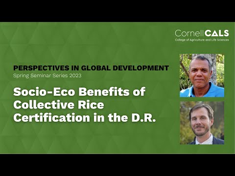 Socio-Eco Benefits of Collective Rice Certification in the Dominican Republic