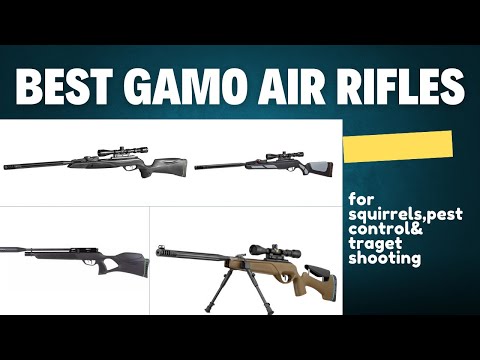 5 Best Gamo Air Rifles 2025