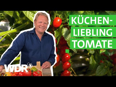 , title : 'Das beliebteste Gemüse in Deutschland – die Tomate  | Der Vorkoster | WDR'