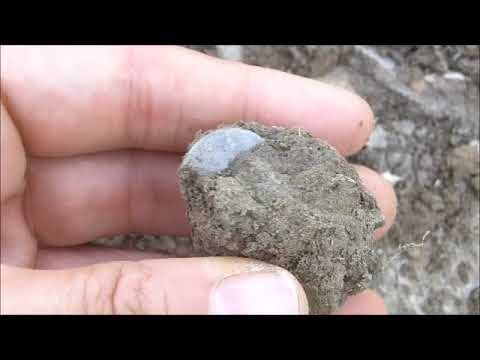 Episode 69: Good Things Come in PAIRS!