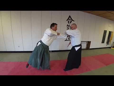 Aikido Dojo Fläming - Ude Osae