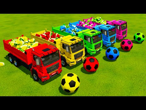 TRANSPORT WATERMELONS with McCORMICK vs CLAAS vs NEW HOLLAND vs VALTRA TRACTORS & MAN TRUCKS - FS 22