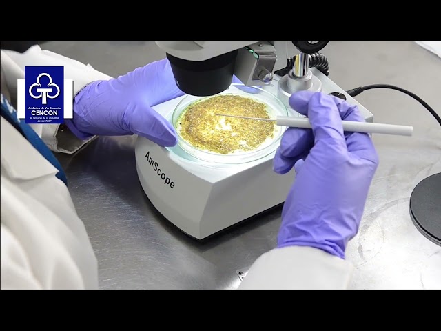 imagen-video-thefoodtech