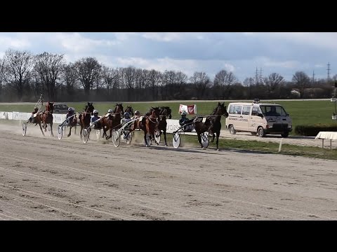 Uvodne kasaške dirke sezone 2015 - Rejska dirka Ljutomerski kasač