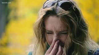 Tips to fight back against allergies as oak pollen season ramps up