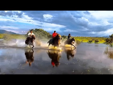  EDM Fiesta Apoleña (Apolo, La Paz) - Remix / En Vivo | El Cangri DJ