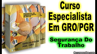 Curso Especialista em GRO/PGR Curso De Segurana Do Trabalho.