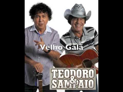 Velho Galã