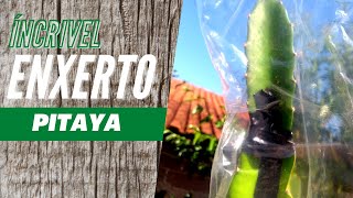 Miniatura do vídeo