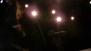 Young Lion by Vampire Weekend (Fan Made Video)