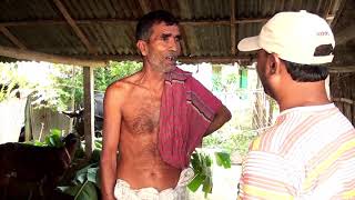 লাইভস্টক ডায়েরি