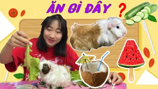 What Food Will Milk Mouse Choose 🍉🥒🥥