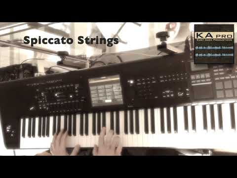 Spiccicato Strings - KApro Premium "Epic Composer" Library - KORG Kronos EXs131–EXs134 (KEYjDAVE)