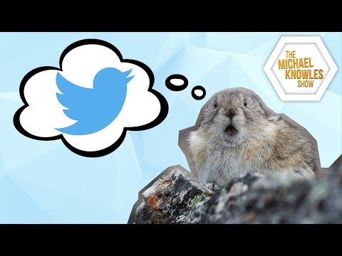 Bad Jokes: Roseanne And The Left’s Fake Outrage | The Michael Knowles Show Ep. 163