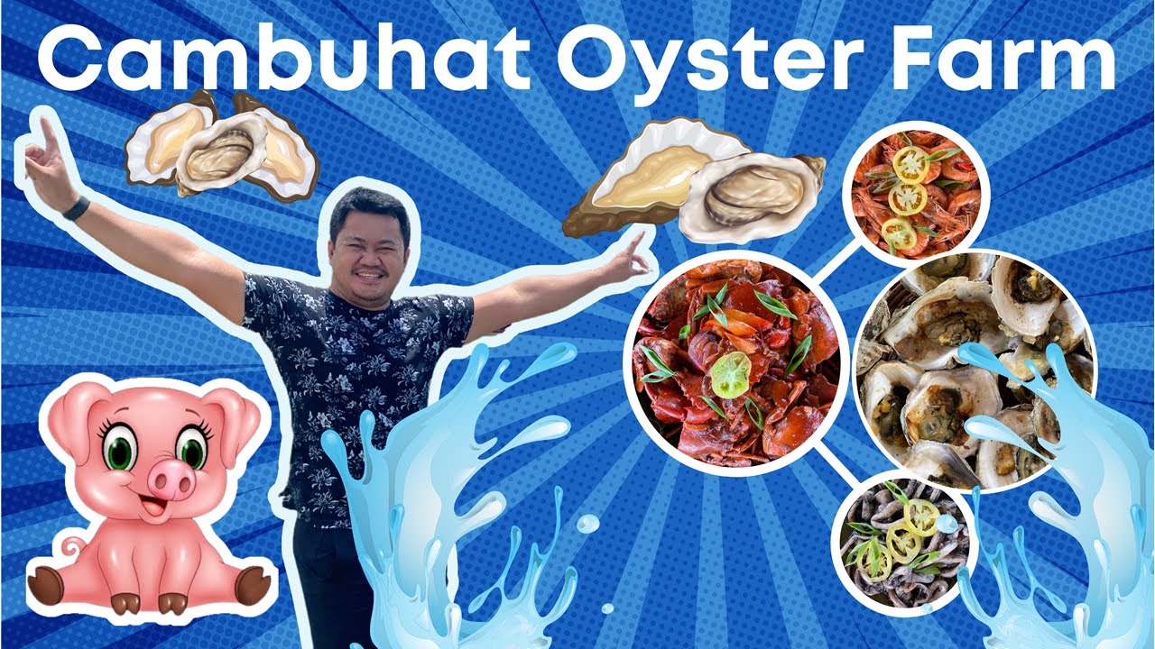 Join travelers on a visit to Cambuhat Oyster Farm.