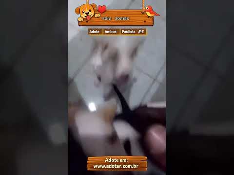 Vídeo de sem nomes 