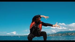 LMN & Shpejtim Krasniqi - Lulja E Dukagjinit