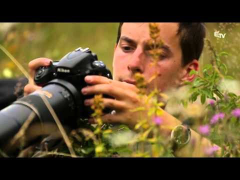 Profil: Nagy Zoltán Gergely – 2015. december 26.