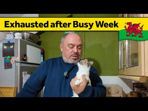 378. Well That Was an Interesting Week! - Slow Living Alone in Wales