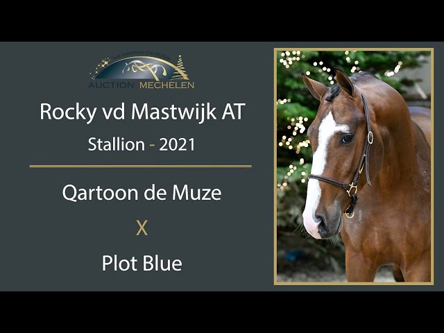 Rocky Van De Mastwijk AT