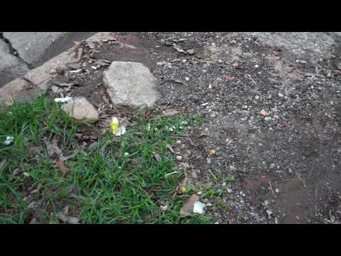 Calçada danificada na rua Sílvia, 200 (Bela Vista)