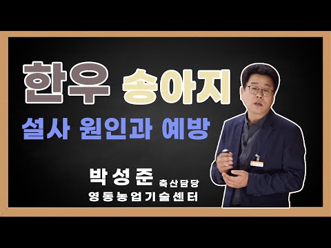 , title : '한우 송아지 설사 원인과 예방 1편'