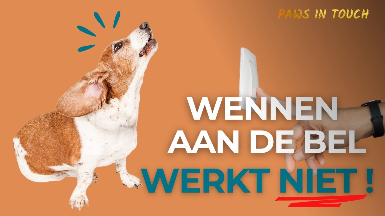 Waarom ‘gewoon laten wennen’ aan de deurbel niet werkt!