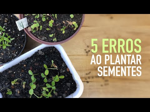 NUNCA mais ERRE ao PLANTAR SEMENTES
