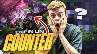 ENFIN UN COUNTER A BRIAR