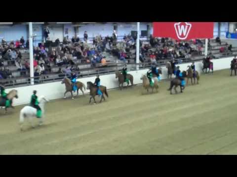 OSI Handorf 2011 - Show - www.isibless.de