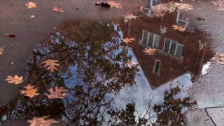 {HD} Underwater Ambiance @ the Library West