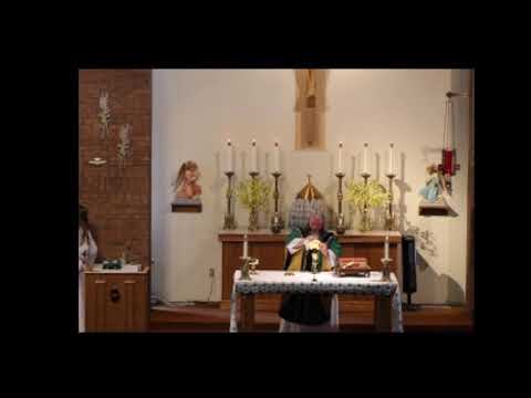 11am Mass - 16th Sunday in Ordinary Time - 07-23-2023