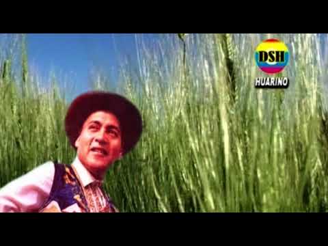 AMANECER ANCASHINO GORRION ANDINO VOL 4