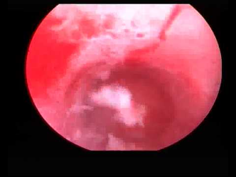 Rajani Hospital Video 3