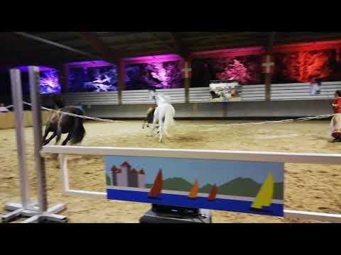 60 ans La Cravache d'Annecy - Spectacle de Gilliane Senn (5ème partie)