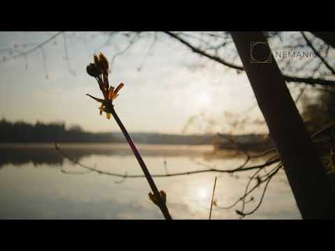 Rezidence Nemanice - O projektu