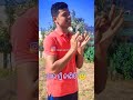Odia Best 2023 Status Video Bapa Maa Status Odia Odia Motivation Video SHORT ODIA STORY