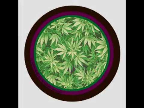 Brant Bjork - Frequencies