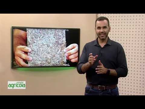 Estação Agrícola — Geotêxteis