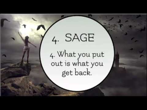 5 level of mastery cross over 5 laws